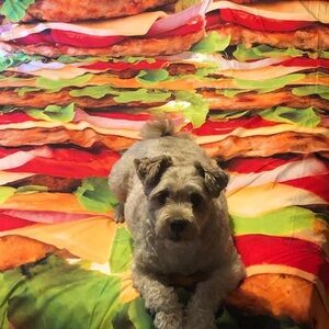 Colorful Burger duvet & 2 matching pillow cases